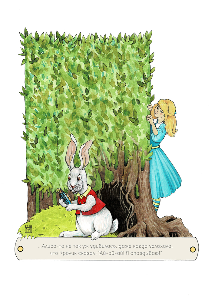 За белым кроликом