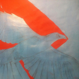 Ворон, рассекающий небо!(о.о)