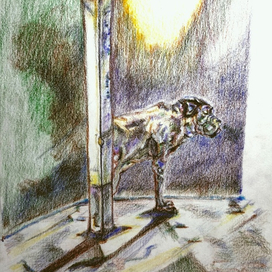 Неоднозначность 