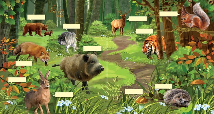 Мир который я люблю