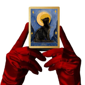 Карта ТАРО из колоды «Черно-белые кошки» 