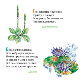 Книга "100 загадок"