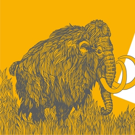 Мамонт, Олень, рыбы, осбминог