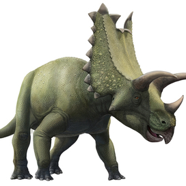 Персонажи Pentaceratops (динозавры)