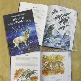 Рисунок на переплёт и иллюстрации к сборнику рассказов Г. Снегирёва "Ночные колокольчики"