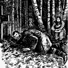 "Ночные звуки"