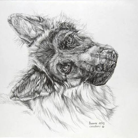 Внимательный Вулкан