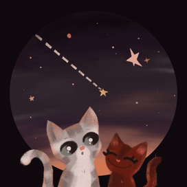 Котята и звёздное небо
