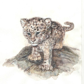 Малыш ягуар