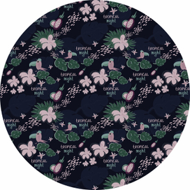 Ночные тропики