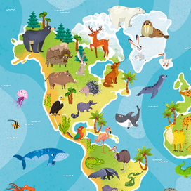 Карта Мир Животных
