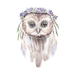 Сова с лавандой