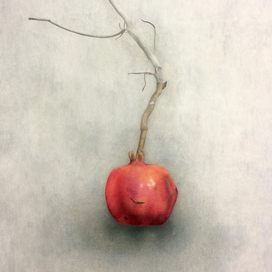 Ветка с гранатом