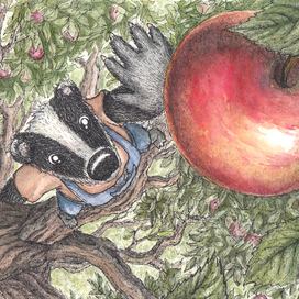 Самое большое и вкусное яблоко