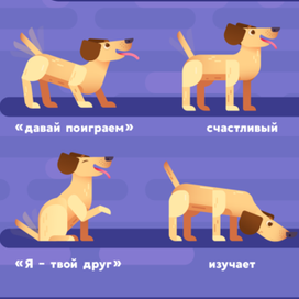 Карточка к занятиям