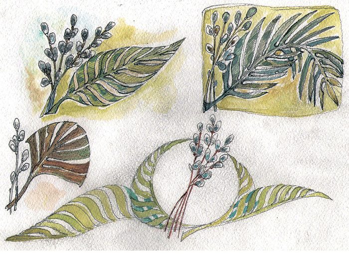 ветка вербы пальмы