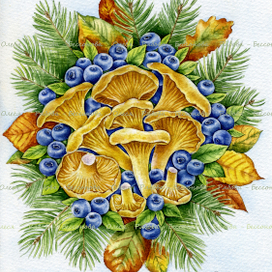 " Лисички ".
