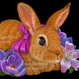 Кролик и цветы