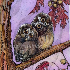 Совушки. Сычики на красном дубе.