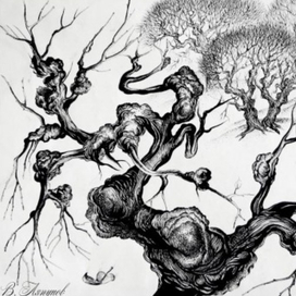 Каповая роща. Иллюстрация из книги.