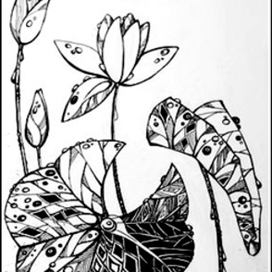 Наблюдения за лотосами в дождь