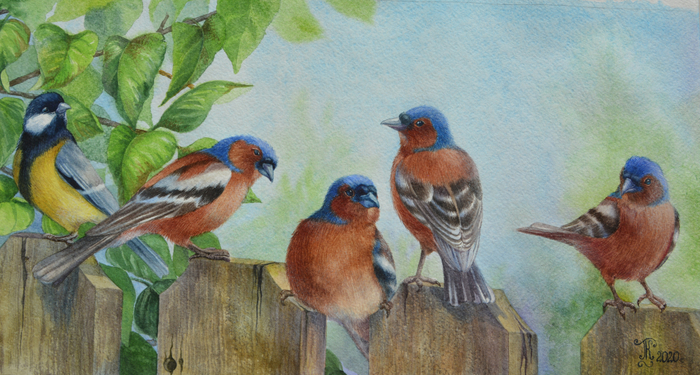 Дело было вечером - делать было нечего 