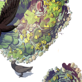 джатака о повелителе рыб