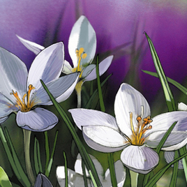 вот она пришла...