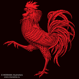 rooster