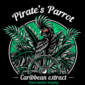 Разработка дизайн-концепции упаковки Pirate`s Parrot
