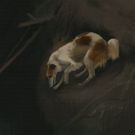 Русская борзая