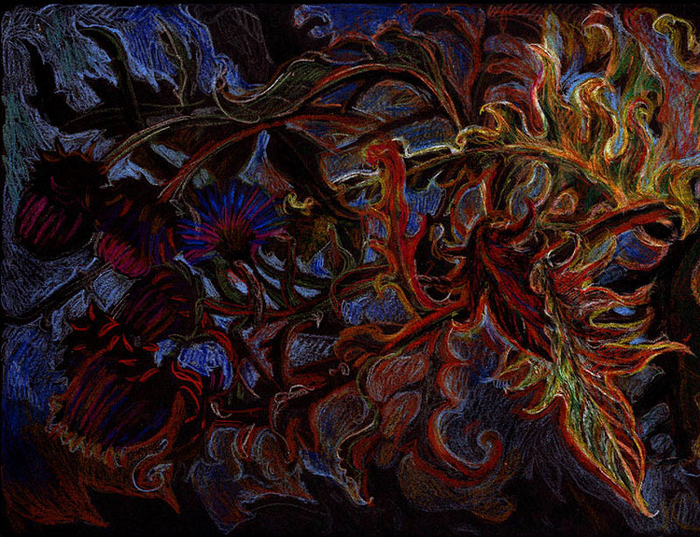 new zealand . black.3