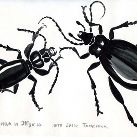 Жук и Жужалица