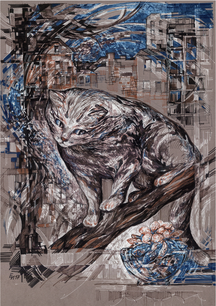 Кот за окном