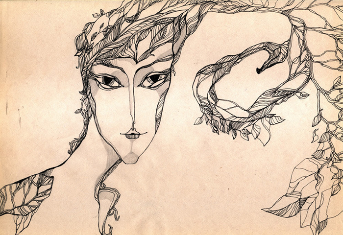 (без названия)