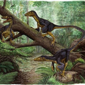 Balaur bondoc (динозавр)