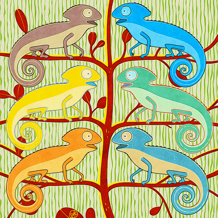 хамелеончики 