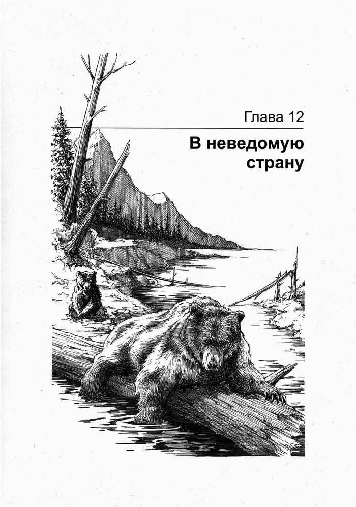 ГРИЗЛИ. В неведомую страну