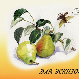 Альбом для эскизов