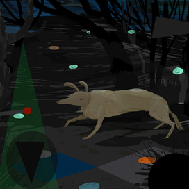 сны и запахи