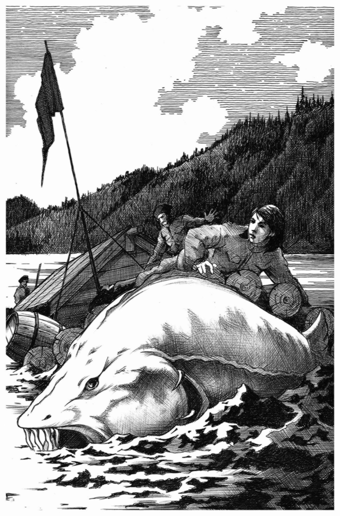 Происшествие на плоту. Белуга