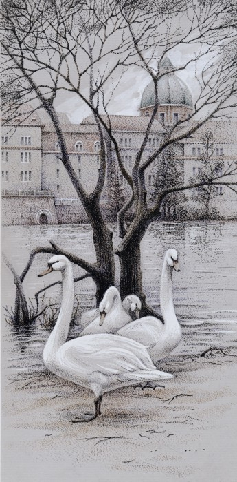 Прага. Лебеди.