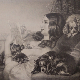 Lady and Spaniels