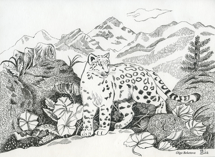 Снежный барс