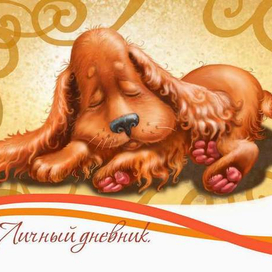 песик на обложку