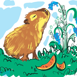 капибарушка