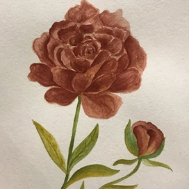 Темный пион