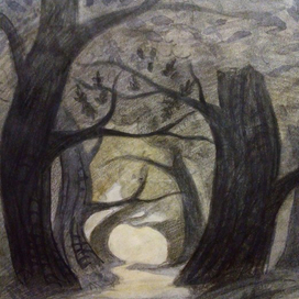 лесная тропа