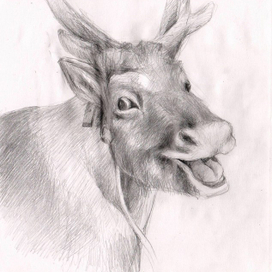 веселый олень