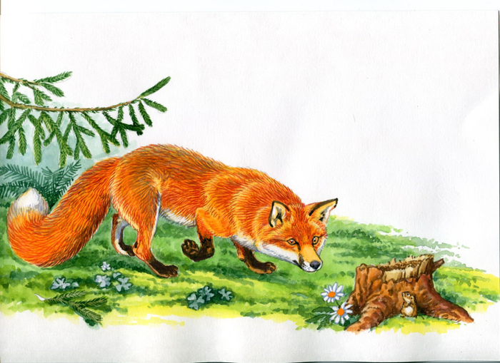 А вот и завтрак.